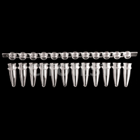 条带中的0.2 ml PCR管