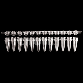 条带中的0.2 ml PCR管